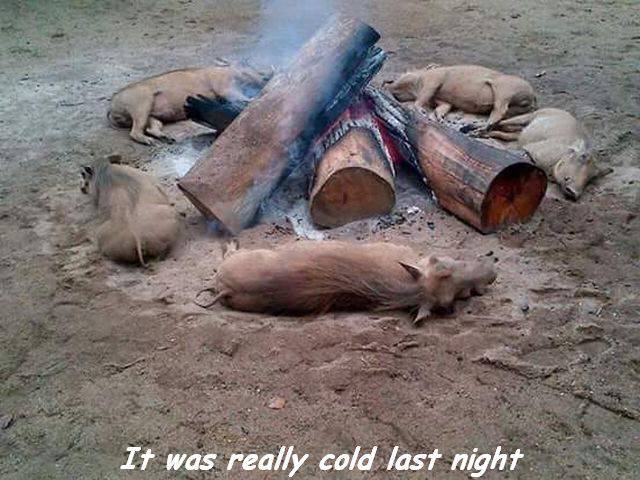 daily picdump 99 pics 24.html - 99 HD Photos | Premium Gallery 2016