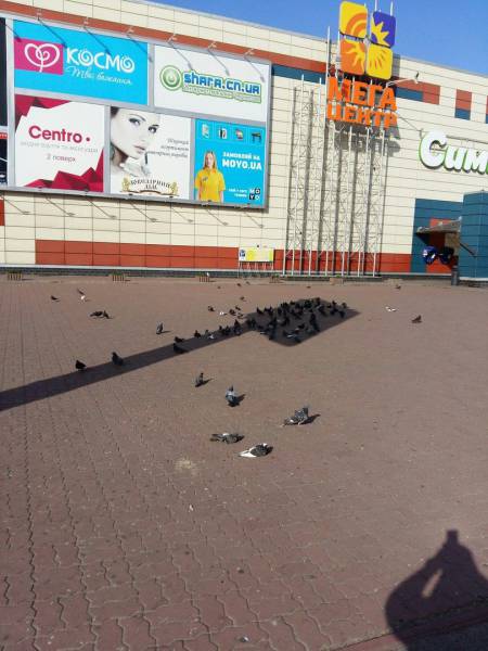 daily picdump 99 pics 24.html - 99 HD Photos | Premium Gallery 2016