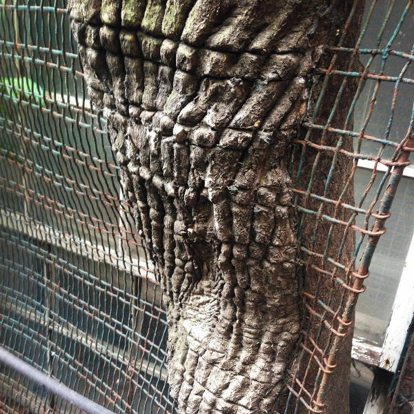 morning picdump 50 pics 22.html - 50 HD Photos | Premium Gallery 2016