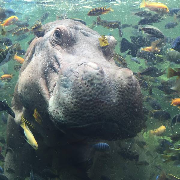 morning picdump 50 pics 22.html - 50 HD Photos | Premium Gallery 2016