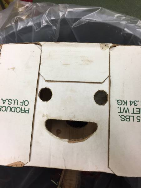 morning picdump 50 pics 22.html - 50 HD Photos | Premium Gallery 2016