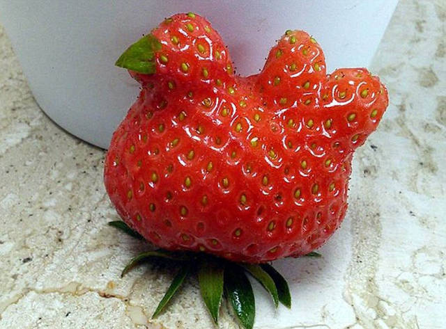 morning picdump 50 pics 22.html - 50 HD Photos | Premium Gallery 2016