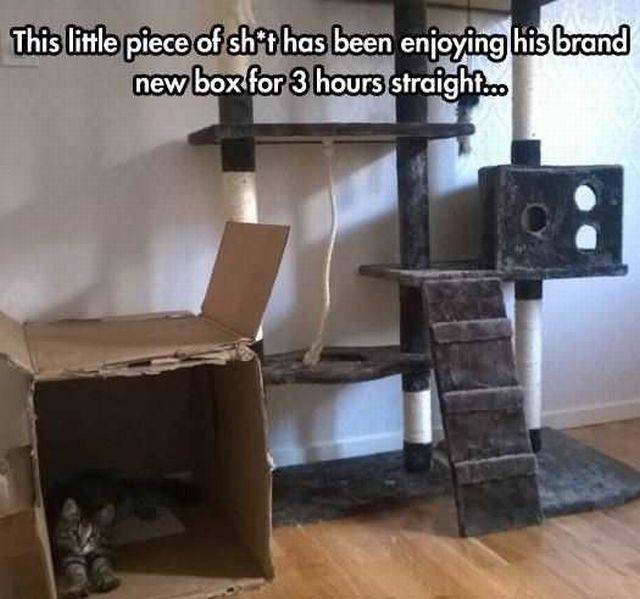 daily picdump 93 pics 4.html - 93 HD Photos | Premium Gallery 2016