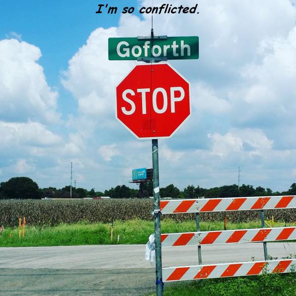 daily picdump 93 pics 4.html - 93 HD Photos | Premium Gallery 2016