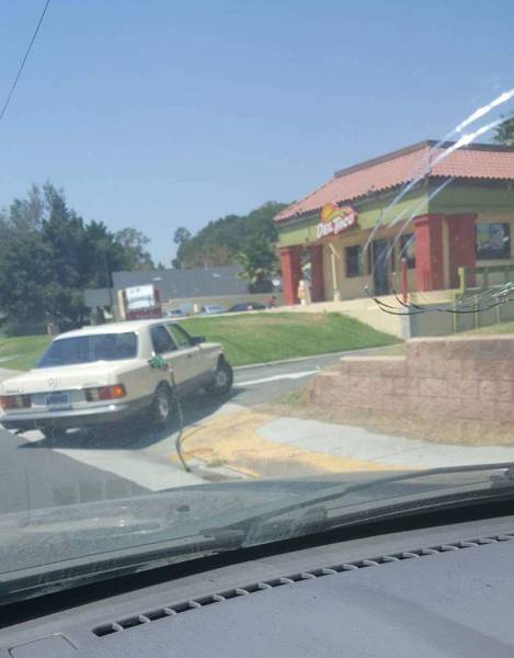 daily picdump 93 pics 4.html - 93 HD Photos | Premium Gallery 2016