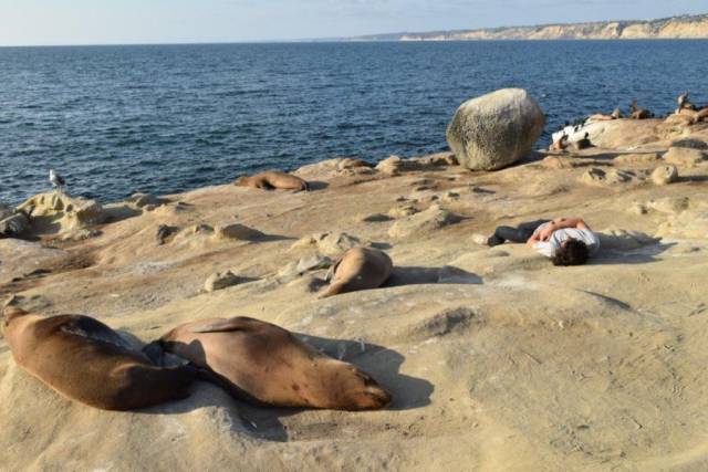 daily picdump 93 pics 4.html - 93 HD Photos | Premium Gallery 2016