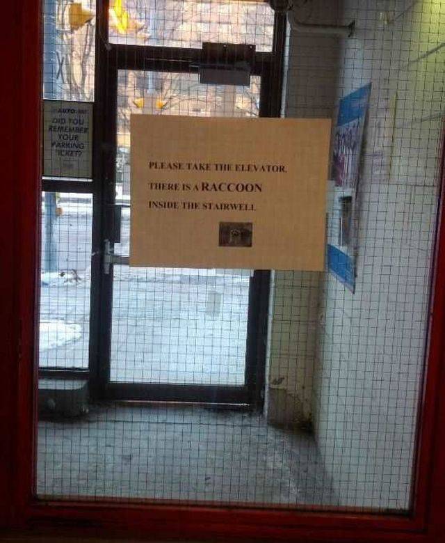 daily picdump 93 pics 4.html - 93 HD Photos | Premium Gallery 2016