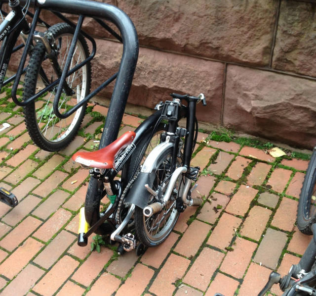 morning picdump 50 pics 5.html - 50 HD Photos | Premium Gallery 2016