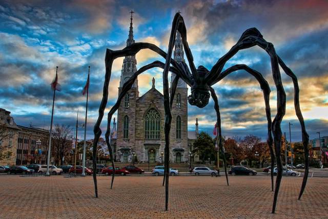 morning picdump 50 pics 5.html - 50 HD Photos | Premium Gallery 2016