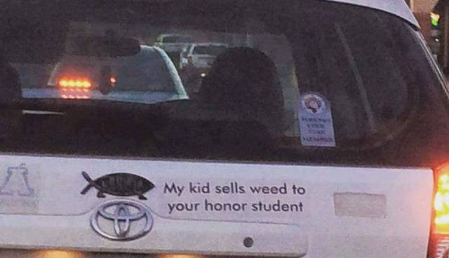 morning picdump 50 pics 5.html - 50 HD Photos | Premium Gallery 2016