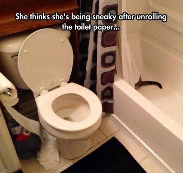 daily picdump 96 pics 42.html - 96 HD Photos | Premium Gallery 2016