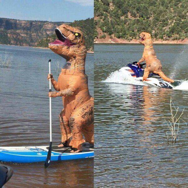 daily picdump 96 pics 42.html - 96 HD Photos | Premium Gallery 2016