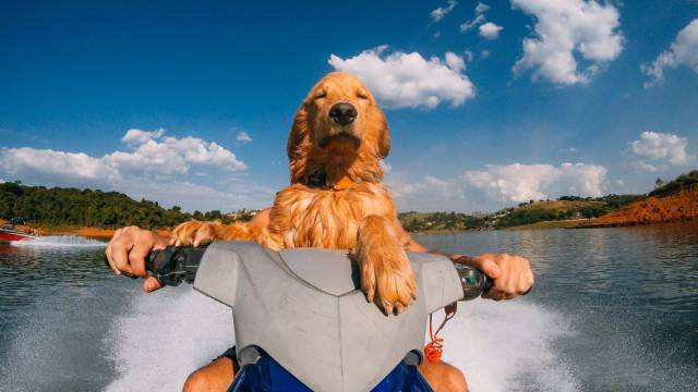 daily picdump 96 pics 42.html - 96 HD Photos | Premium Gallery 2016