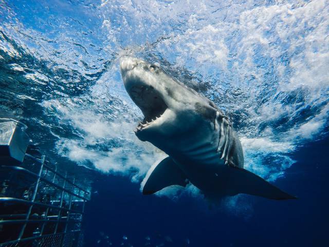 daily picdump 96 pics 42.html - 96 HD Photos | Premium Gallery 2016