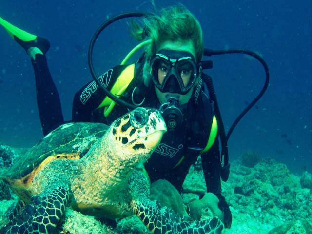 morning picdump 50 pics 2.html - 50 HD Photos | Premium Gallery 2016