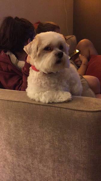 morning picdump 50 pics 2.html - 50 HD Photos | Premium Gallery 2016