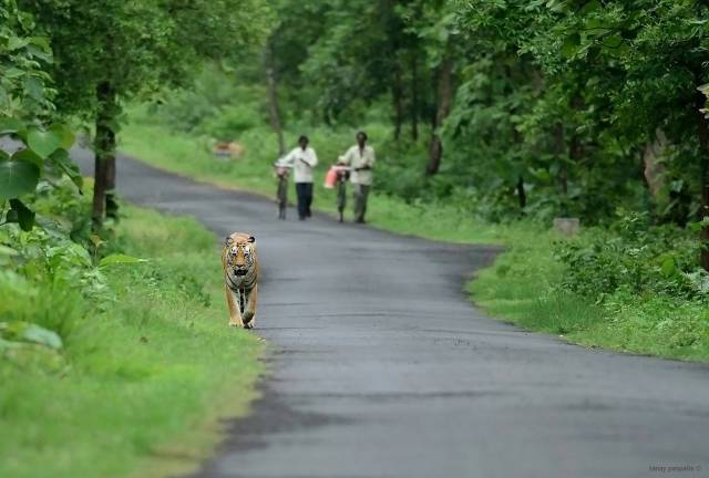 Daily Picdump [WEEKEND EDITION]