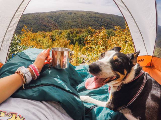 Daily Picdump [WEEKEND EDITION]