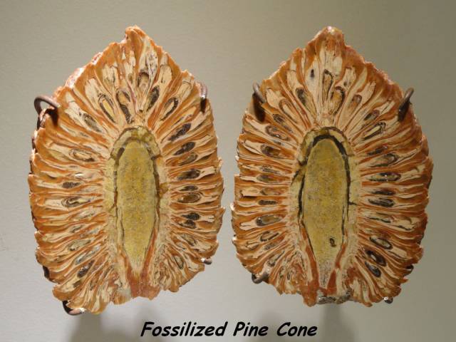 Daily Picdump [WEEKEND EDITION]