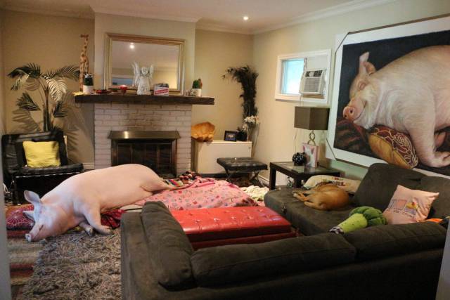 Daily Picdump [WEEKEND EDITION]