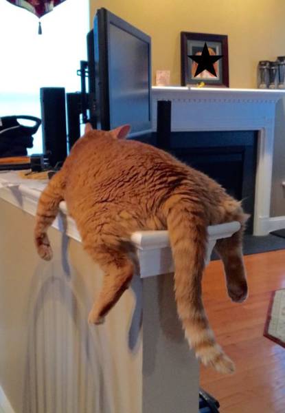 daily picdump weekend edition 65 pics 4.html - 65 HD Photos | Premium Gallery 2016