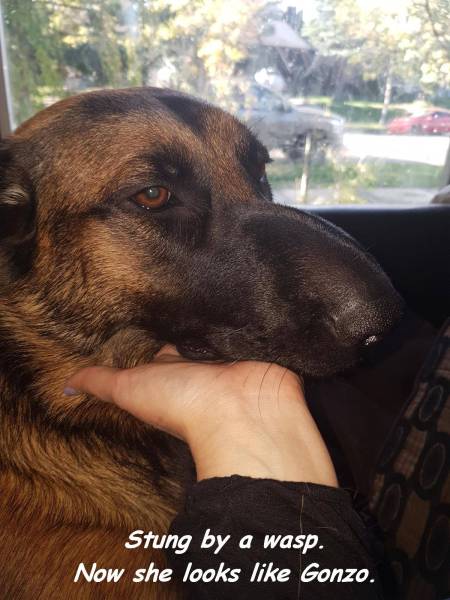 daily picdump weekend edition 65 pics 4.html - 65 HD Photos | Premium Gallery 2016