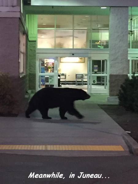 daily picdump weekend edition 65 pics 4.html - 65 HD Photos | Premium Gallery 2016