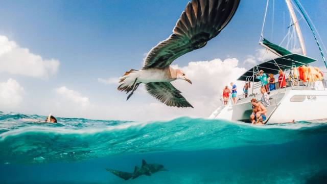 daily picdump weekend edition 65 pics 4.html - 65 HD Photos | Premium Gallery 2016