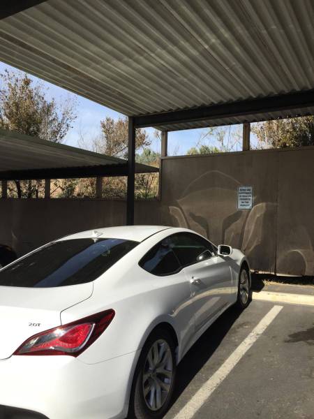 daily picdump weekend edition 65 pics 4.html - 65 HD Photos | Premium Gallery 2016