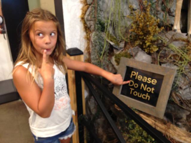 daily picdump weekend edition 65 pics 4.html - 65 HD Photos | Premium Gallery 2016