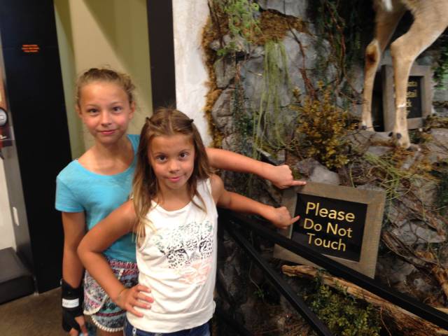 daily picdump weekend edition 65 pics 4.html - 65 HD Photos | Premium Gallery 2016