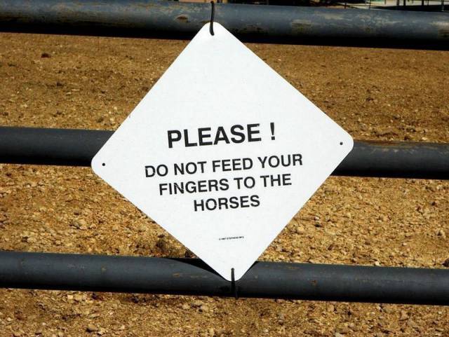 daily picdump 88 pics 29.html - 88 HD Photos | Premium Gallery 2016