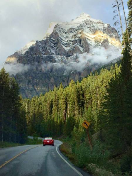 daily picdump 88 pics 29.html - 88 HD Photos | Premium Gallery 2016