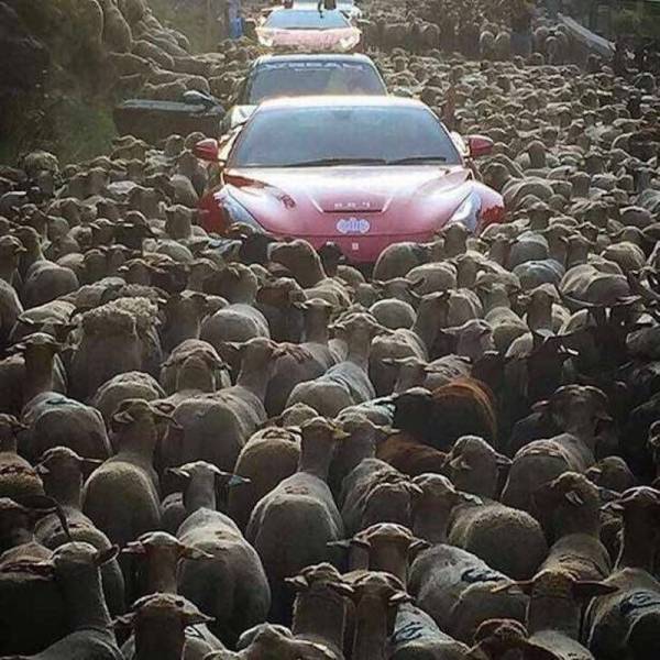 daily picdump 88 pics 29.html - 88 HD Photos | Premium Gallery 2016