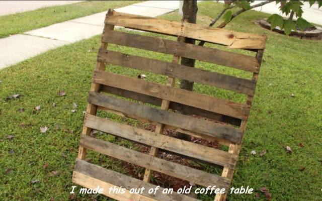 daily picdump 88 pics 29.html - 88 HD Photos | Premium Gallery 2016