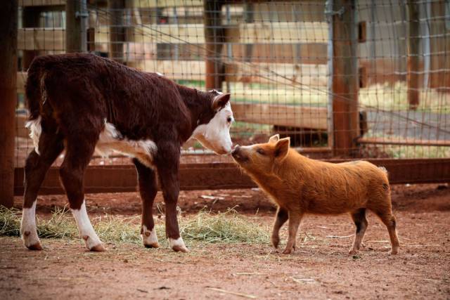 daily picdump 88 pics 29.html - 88 HD Photos | Premium Gallery 2016