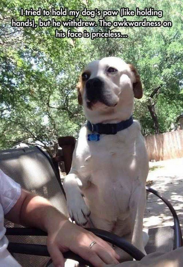 daily picdump 88 pics 29.html - 88 HD Photos | Premium Gallery 2016