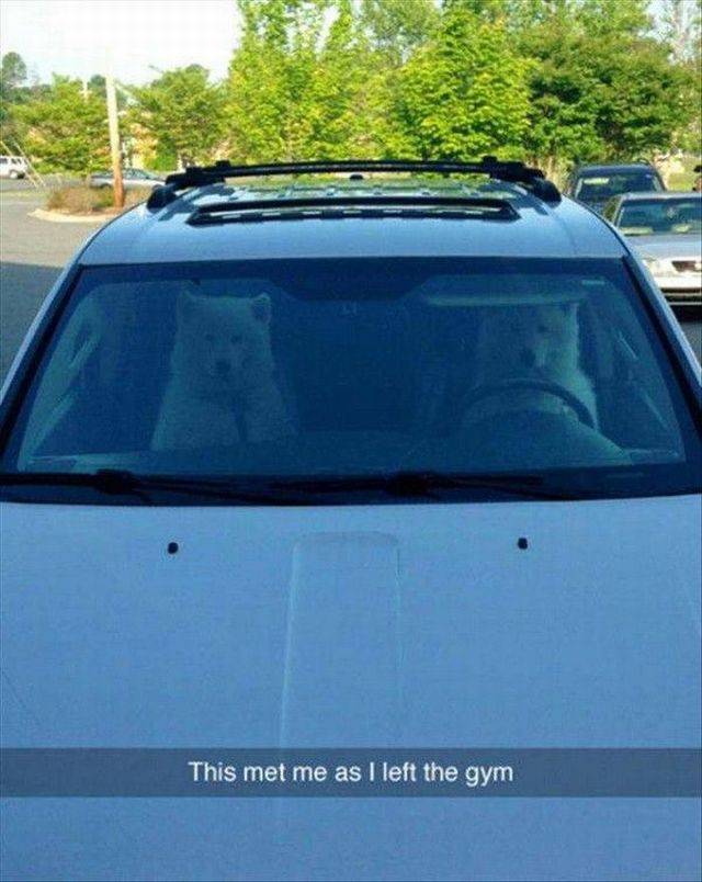 daily picdump 88 pics 29.html - 88 HD Photos | Premium Gallery 2016