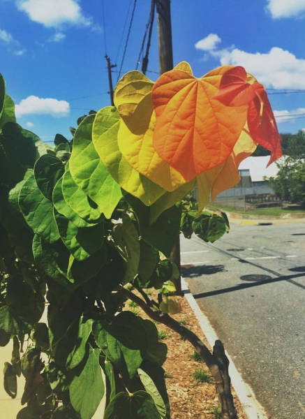 morning picdump 51 pics 9.html - 51 HD Photos | Premium Gallery 2016