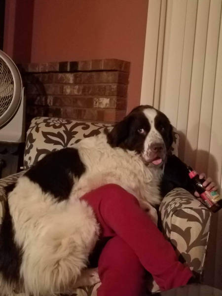 morning picdump 51 pics 9.html - 51 HD Photos | Premium Gallery 2016