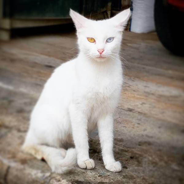 morning picdump 51 pics 9.html - 51 HD Photos | Premium Gallery 2016