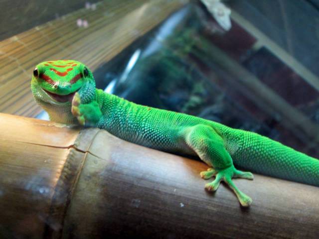 morning picdump 51 pics 9.html - 51 HD Photos | Premium Gallery 2016