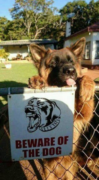 Beware Of Dogs On Guard Duty