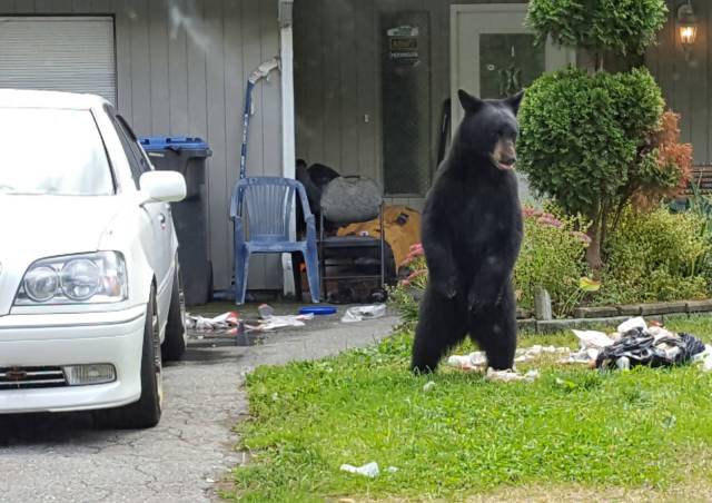 daily picdump 99 pics 45.html - 99 HD Photos | Premium Gallery 2016