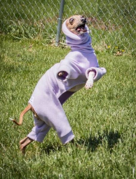 daily picdump 99 pics 45.html - 99 HD Photos | Premium Gallery 2016