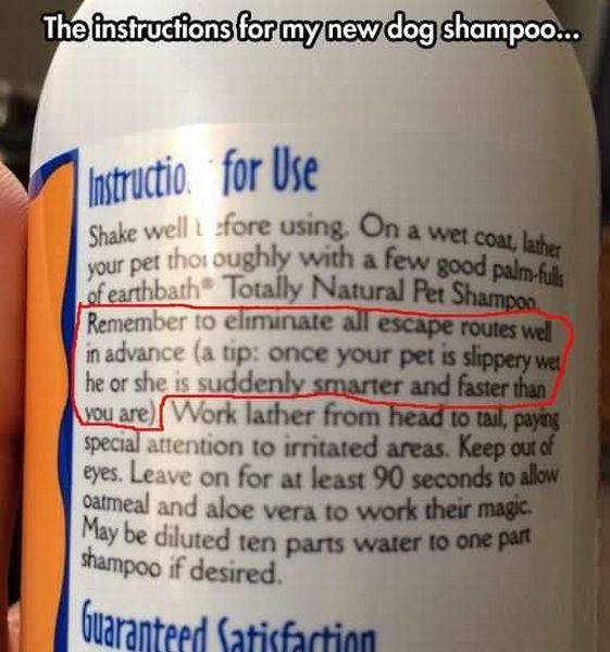 daily picdump 99 pics 45.html - 99 HD Photos | Premium Gallery 2016