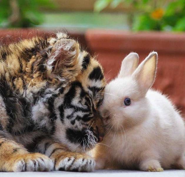 daily picdump 99 pics 45.html - 99 HD Photos | Premium Gallery 2016