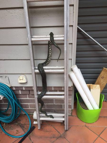 daily picdump 99 pics 45.html - 99 HD Photos | Premium Gallery 2016