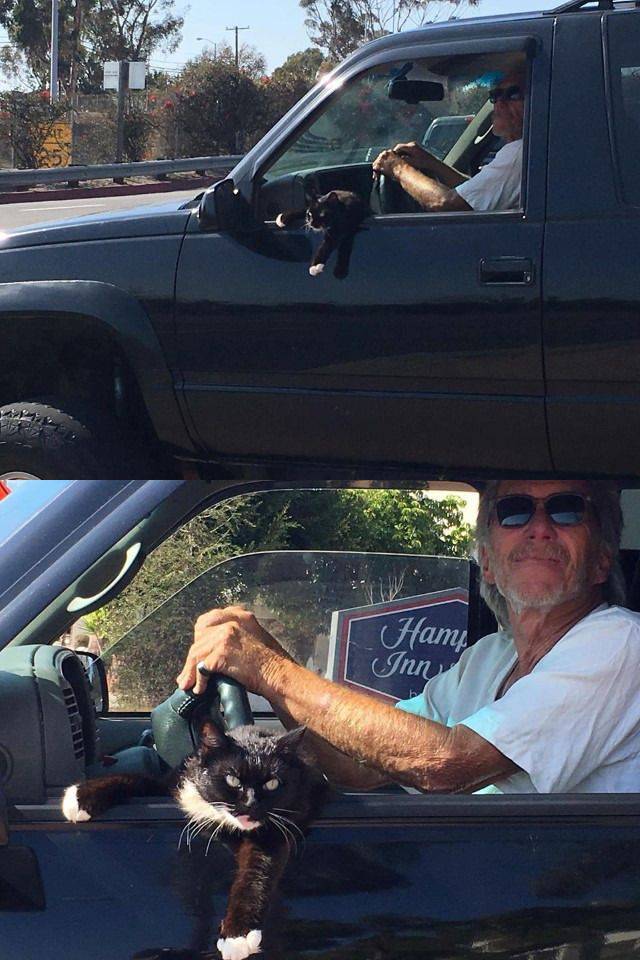 daily picdump 99 pics 45.html - 99 HD Photos | Premium Gallery 2016