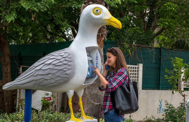 morning picdump 53 pics 24.html - 53 HD Photos | Premium Gallery 2016